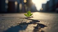 Our life is a set of endless opportunities. (Image via Vecteezy/ Veiks)